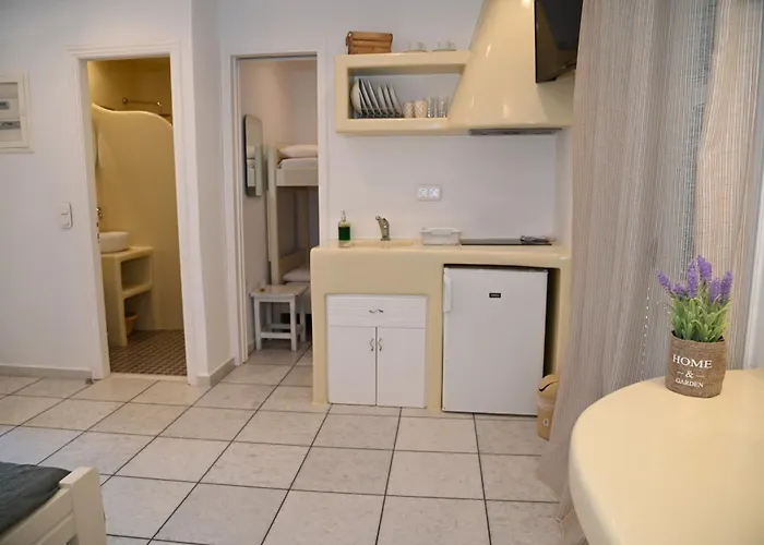 Galini ミクリ・ヴィグラ