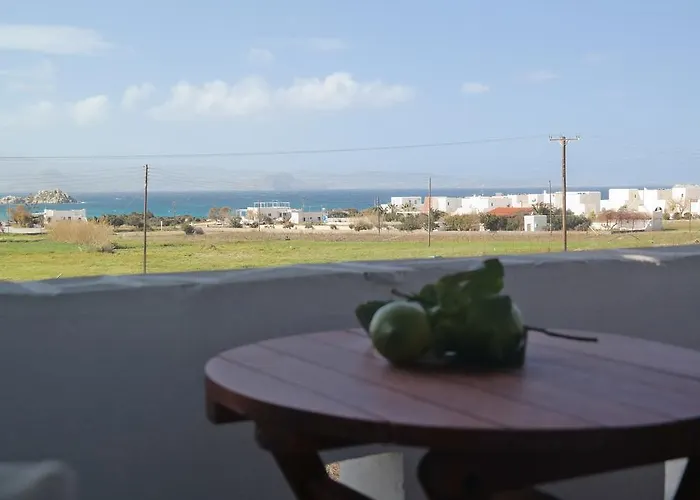 Galini * ミクリ・ヴィグラ