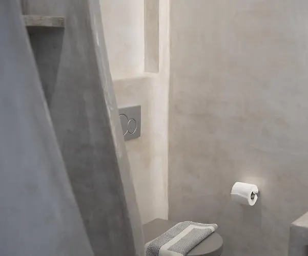 Galini ミクリ・ヴィグラ