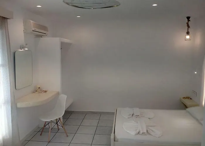 Galini ミクリ・ヴィグラ